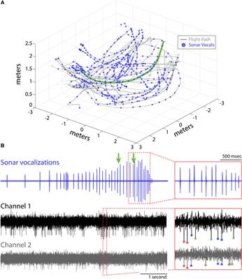 3D Hippocampal Place Field Dynamics in Free-Flying Echolocating Bats